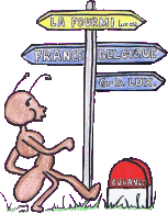 Logo von La Fourmi Asbl